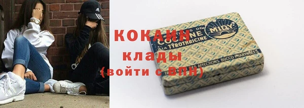 кокс Бородино