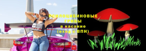 кокс Бородино