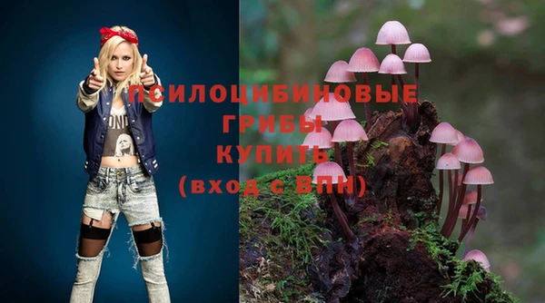 кокс Бородино
